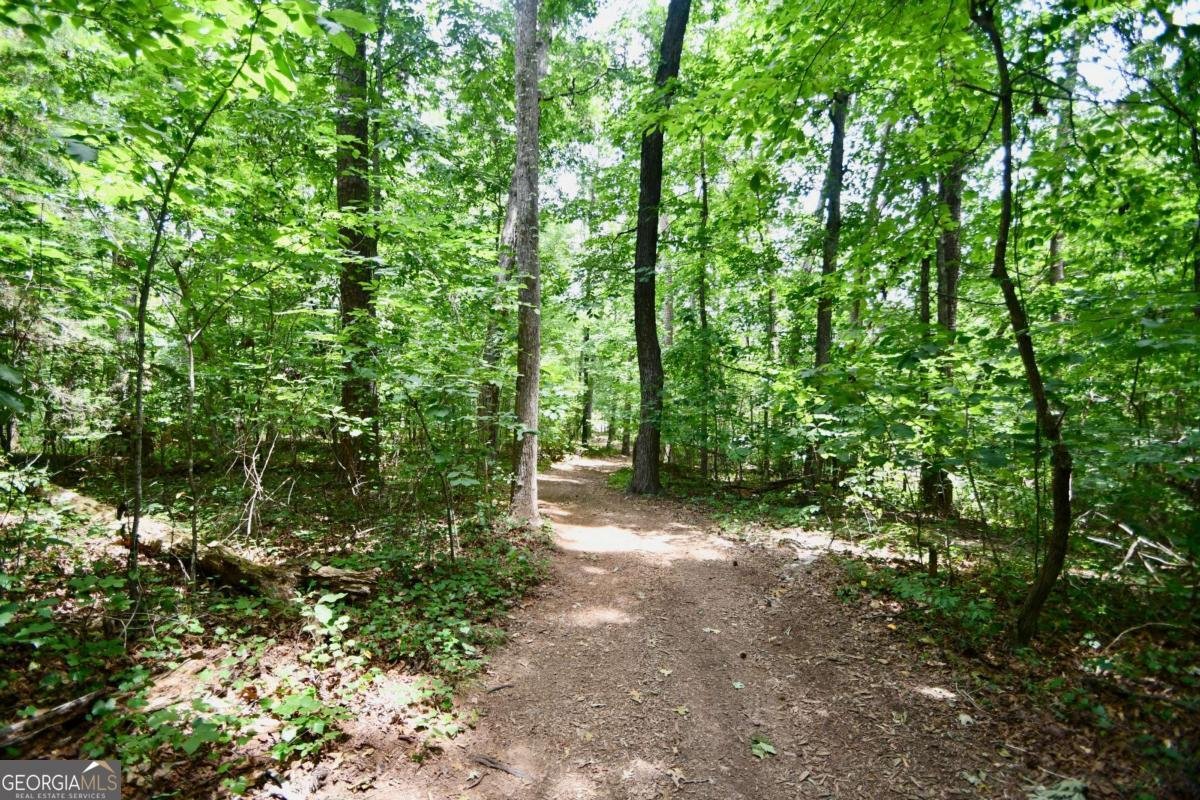 257 Lake Place Drive Lavonia - Photo 42