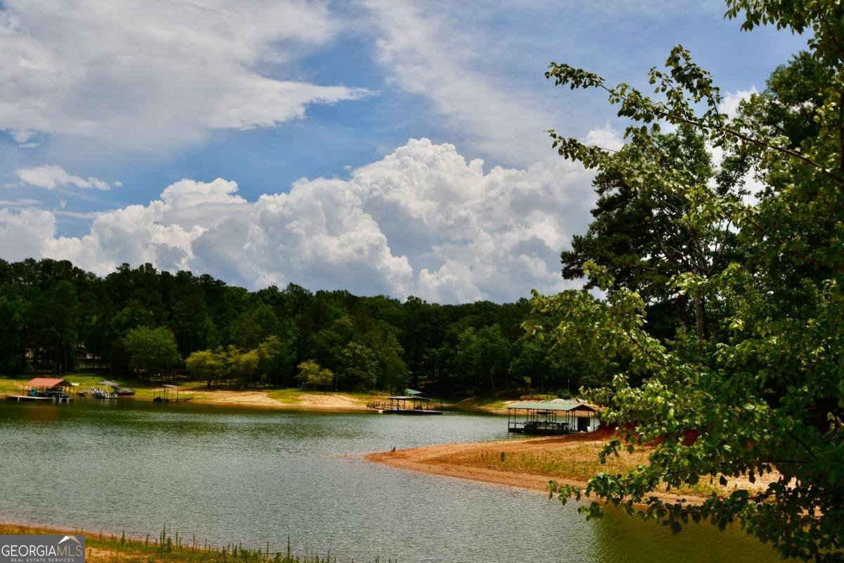 257 Lake Place Drive Lavonia - Photo 43