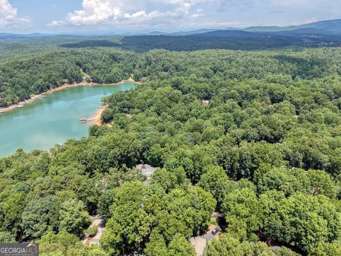 790 Lakeside Drive Blairsville - Photo 40