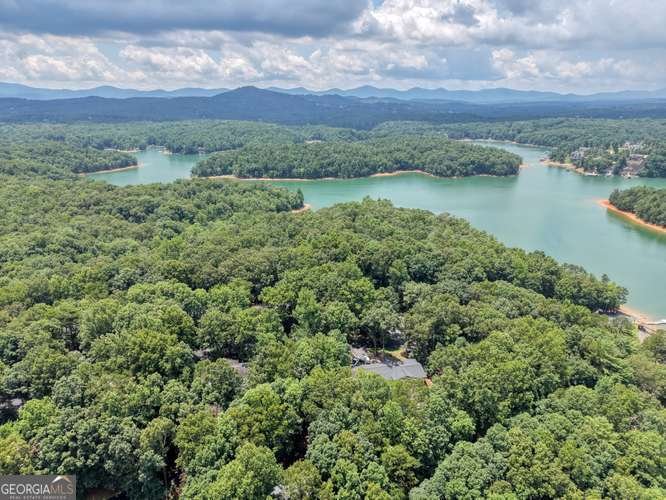 790 Lakeside Drive Blairsville - Photo 41