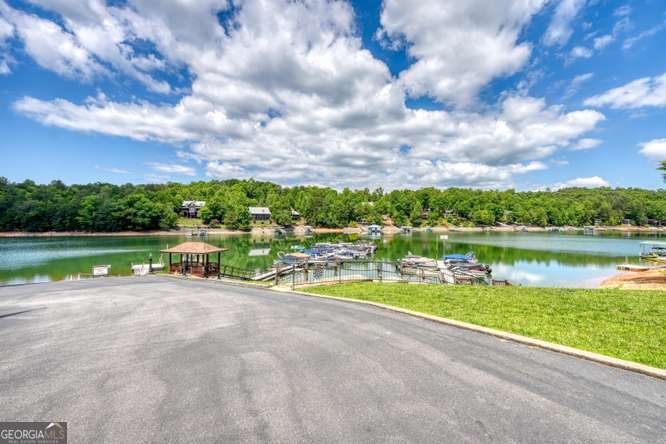 790 Lakeside Drive Blairsville - Photo 53