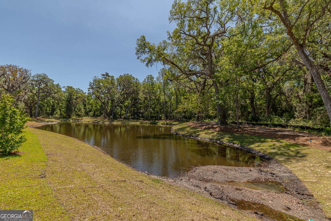 121 Canopy Lane St. Simons - Photo 9