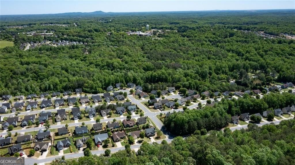 20 Aplomado Lane Dawsonville - Photo 32
