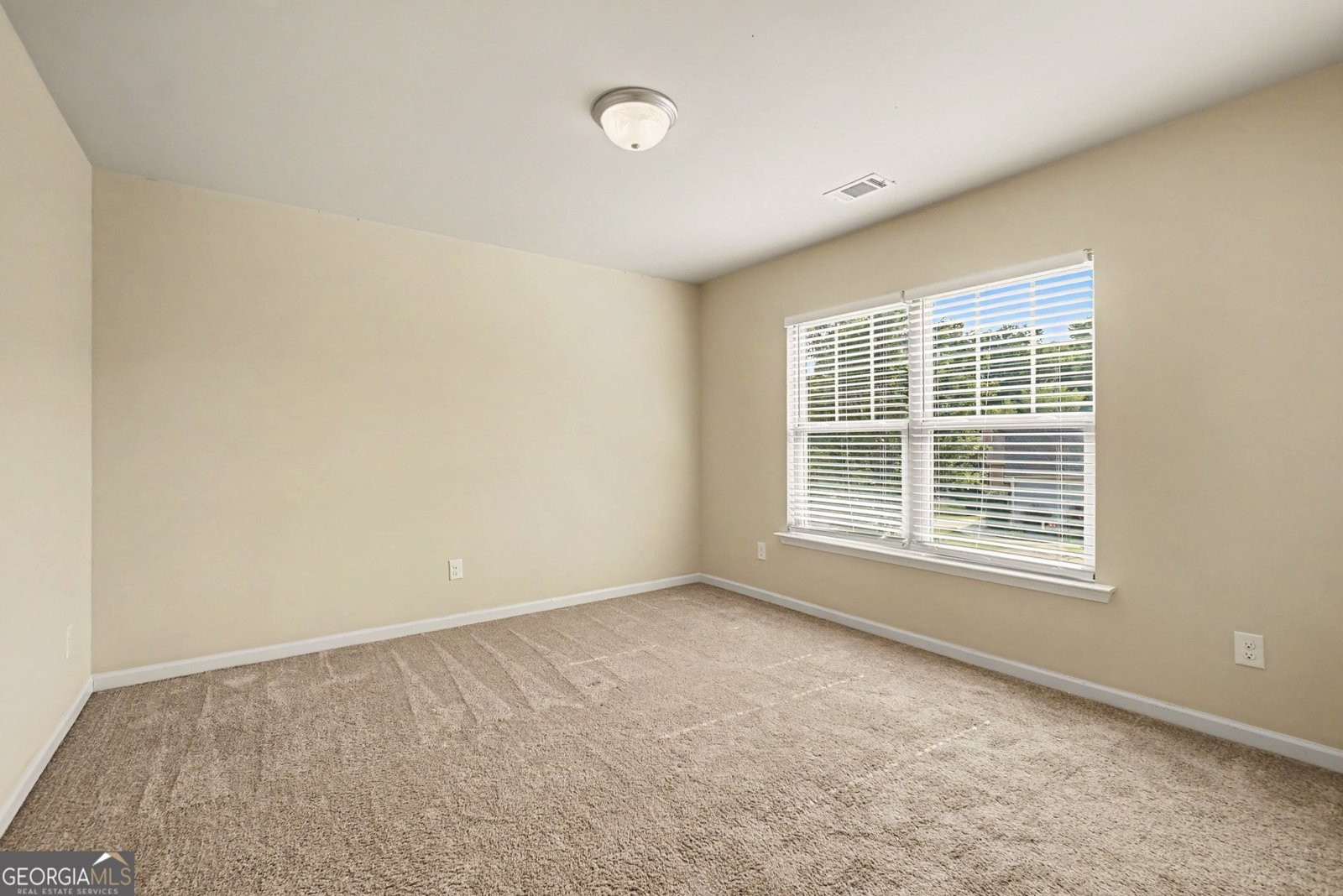 208 Manous Way Canton - Photo 13