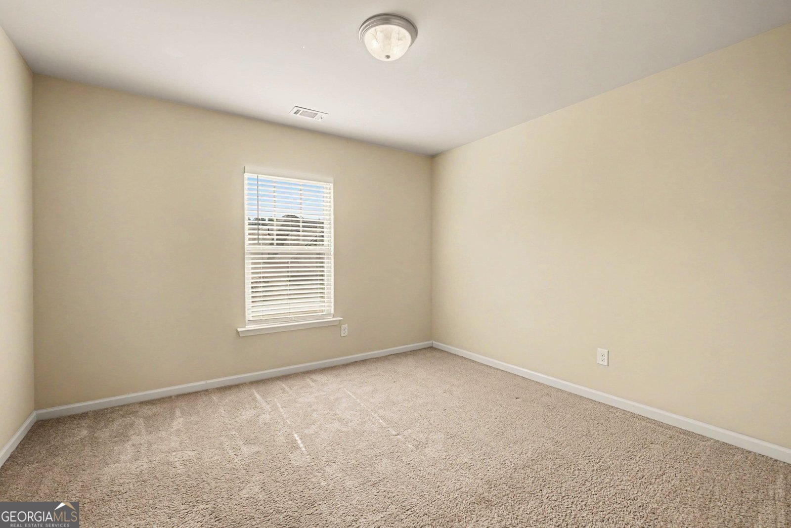 208 Manous Way Canton - Photo 15