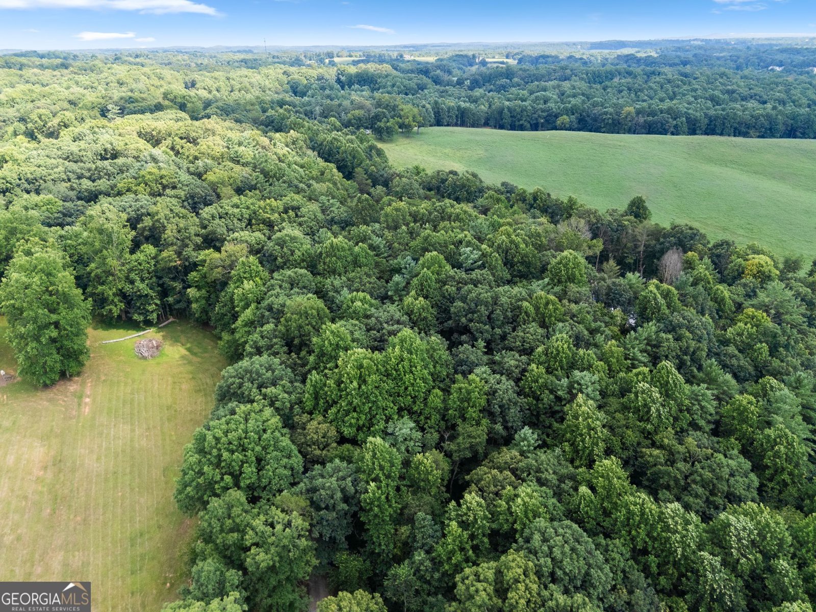 1460 Hollywood Church Road Clarkesville - Photo 36