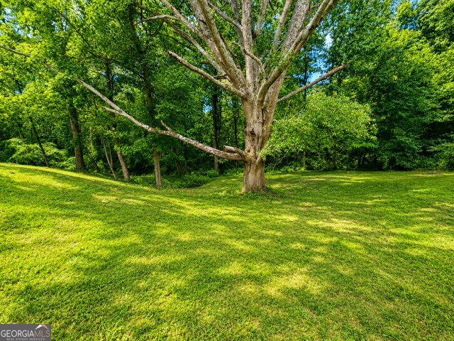 142 Peach Lane Royston - Photo 37