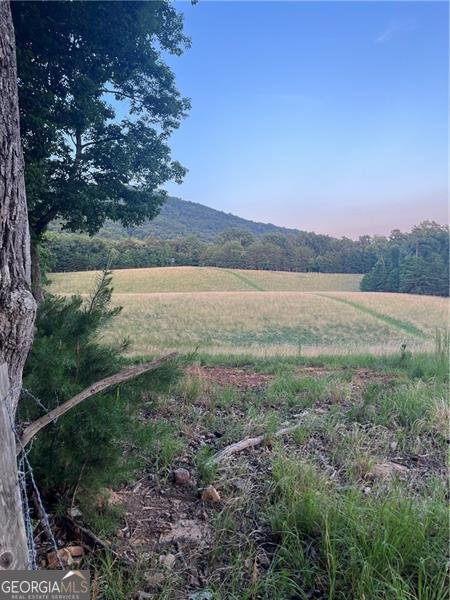 94 Winding Way Jasper - Photo 26