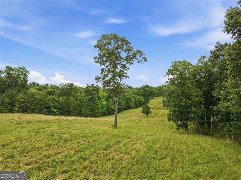 94 Winding Way Jasper - Photo 8