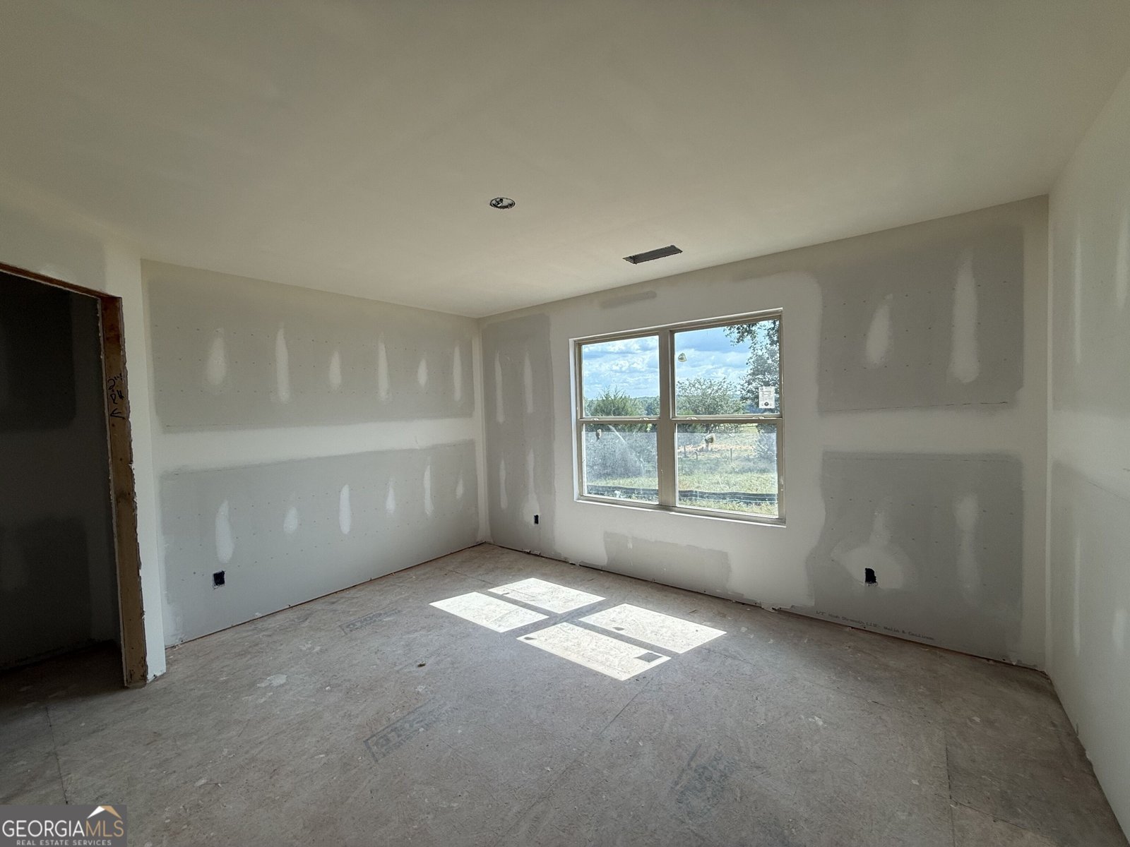 986 South Laney Road Locust Grove - Photo 19