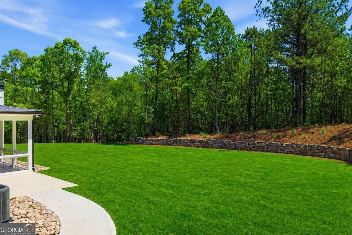 466 Mt Olive Church Lane Canton - Photo 49