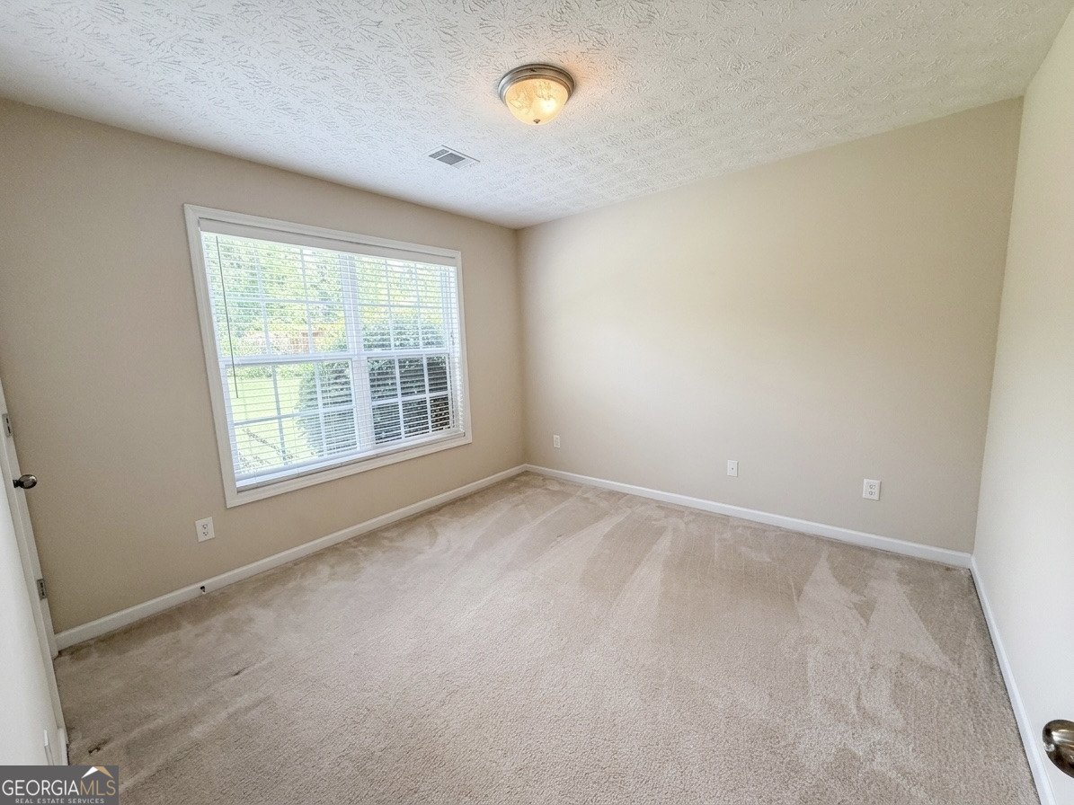 247 Meadows Drive Senoia - Photo 19