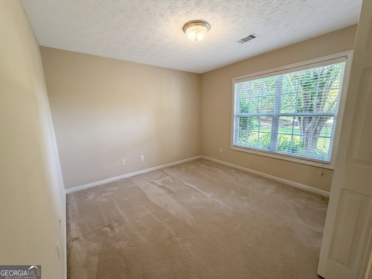 247 Meadows Drive Senoia - Photo 23