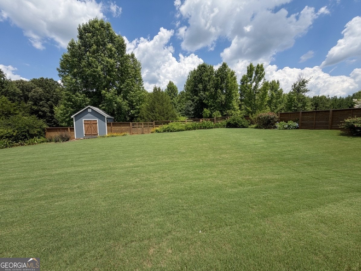 247 Meadows Drive Senoia - Photo 36