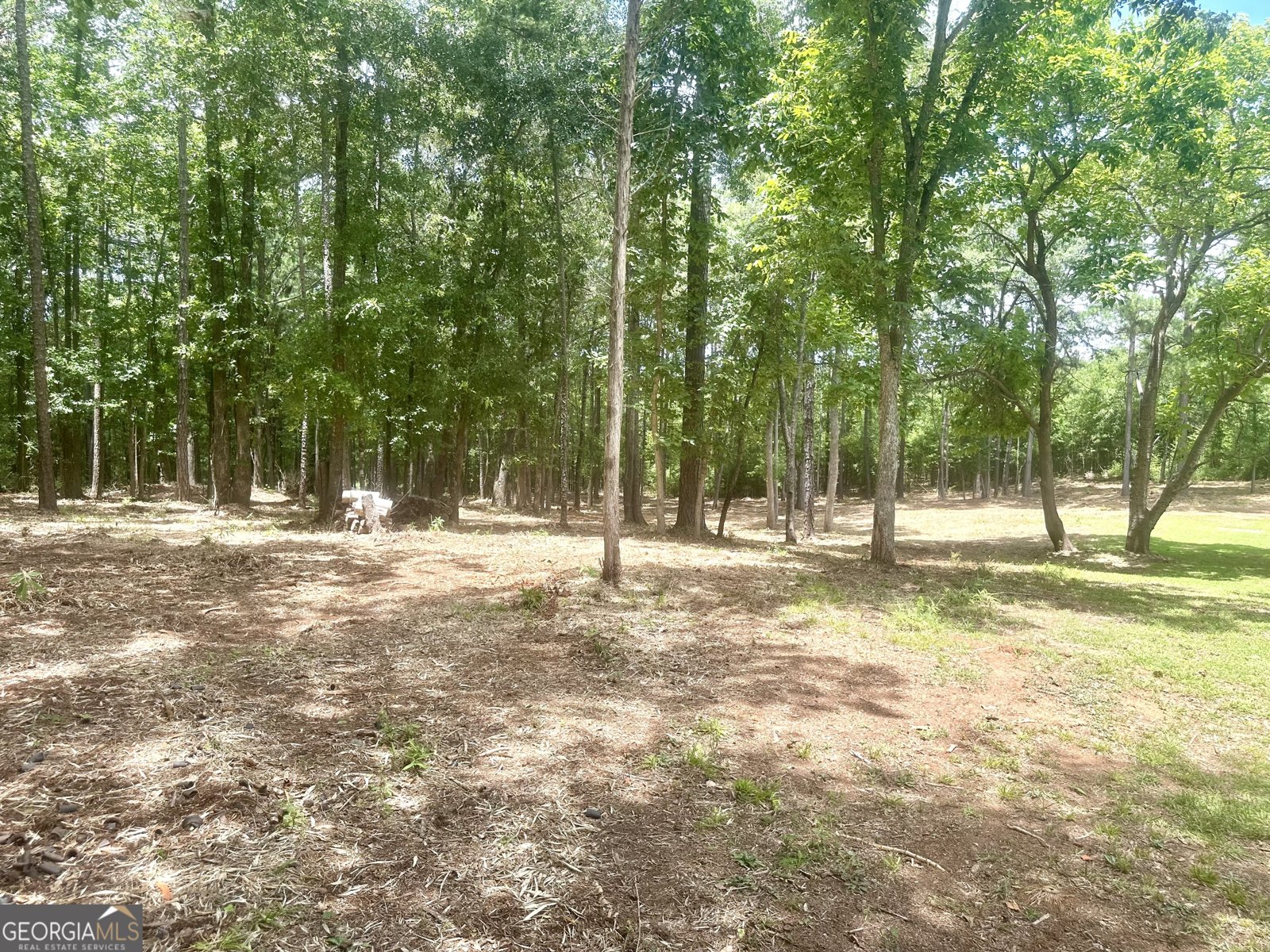 1966 Owens Road Woodbury - Photo 49