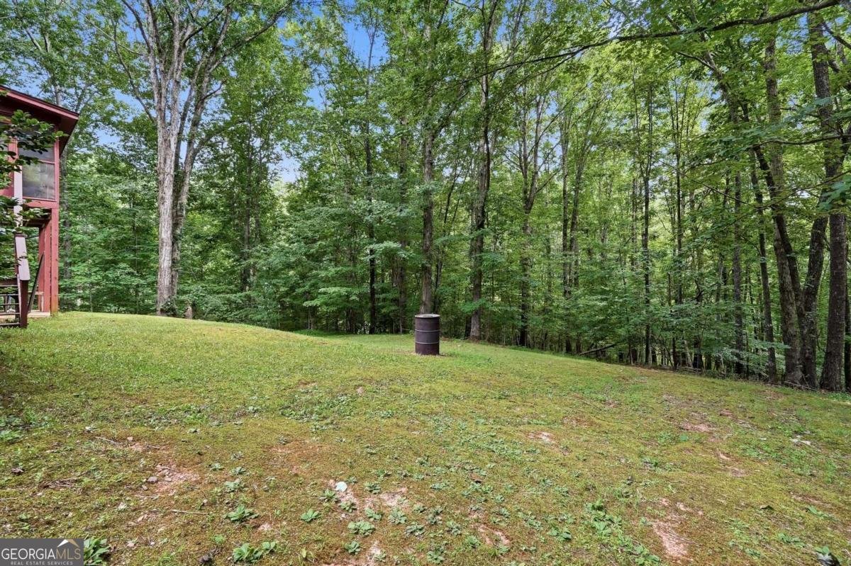 971 Porter Springs Road Dahlonega - Photo 28