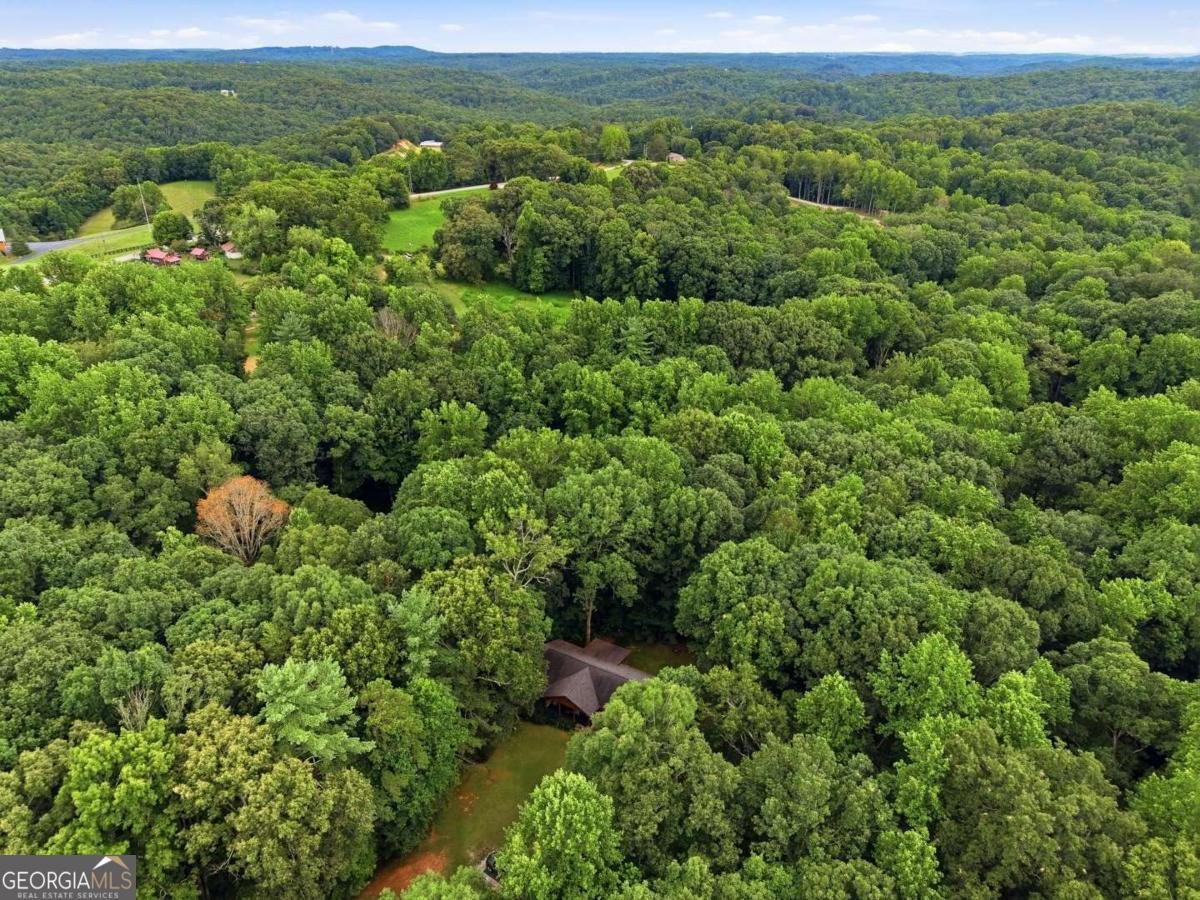 971 Porter Springs Road Dahlonega - Photo 32