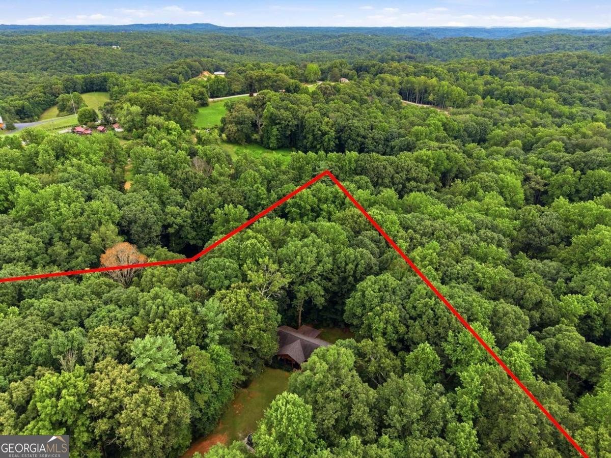 971 Porter Springs Road Dahlonega - Photo 33