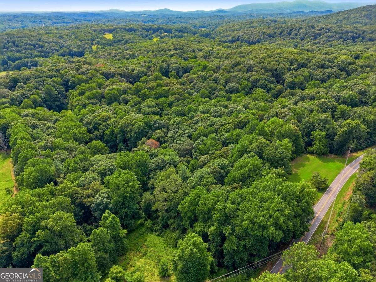 971 Porter Springs Road Dahlonega - Photo 34