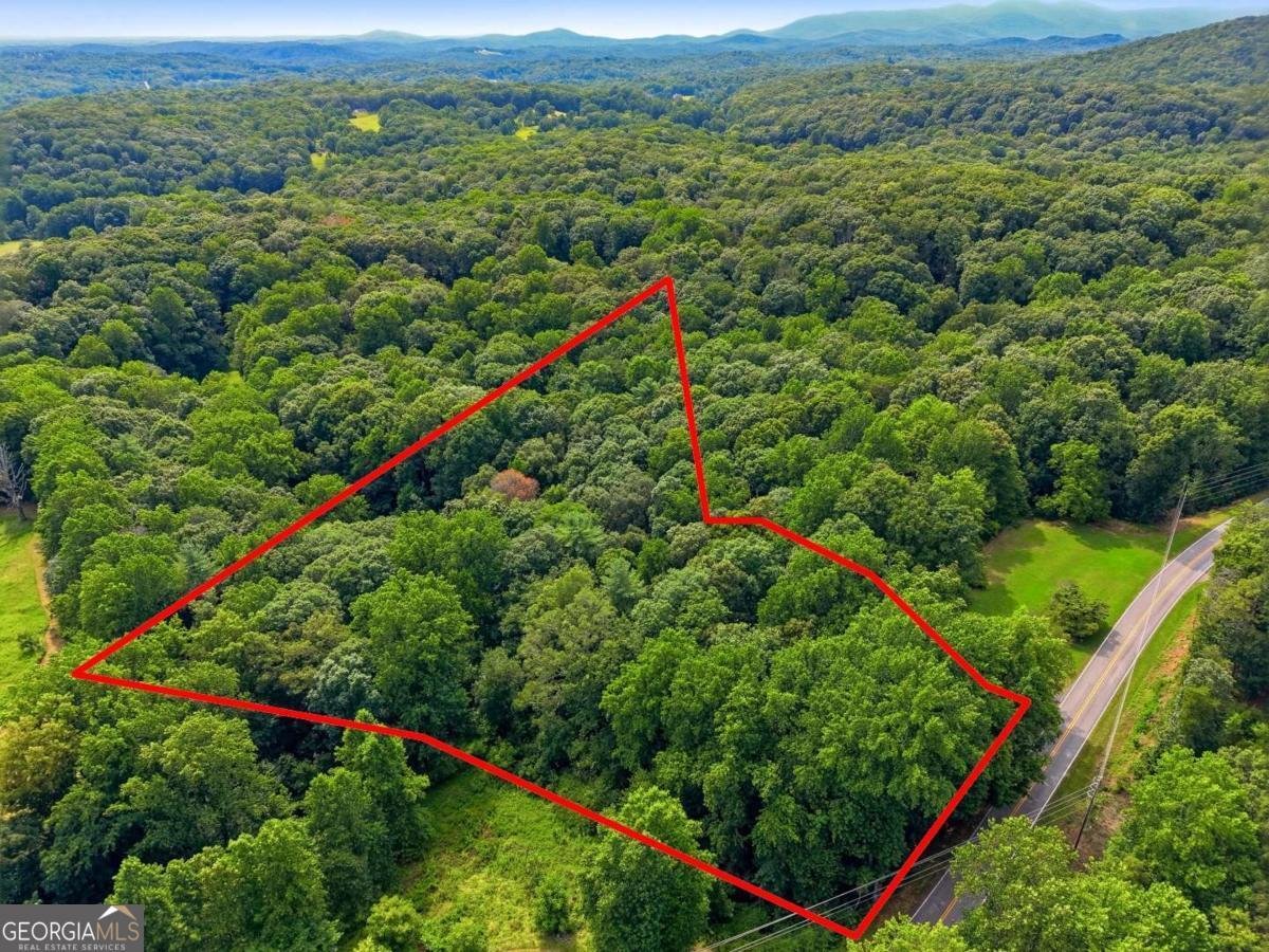 971 Porter Springs Road Dahlonega - Photo 35