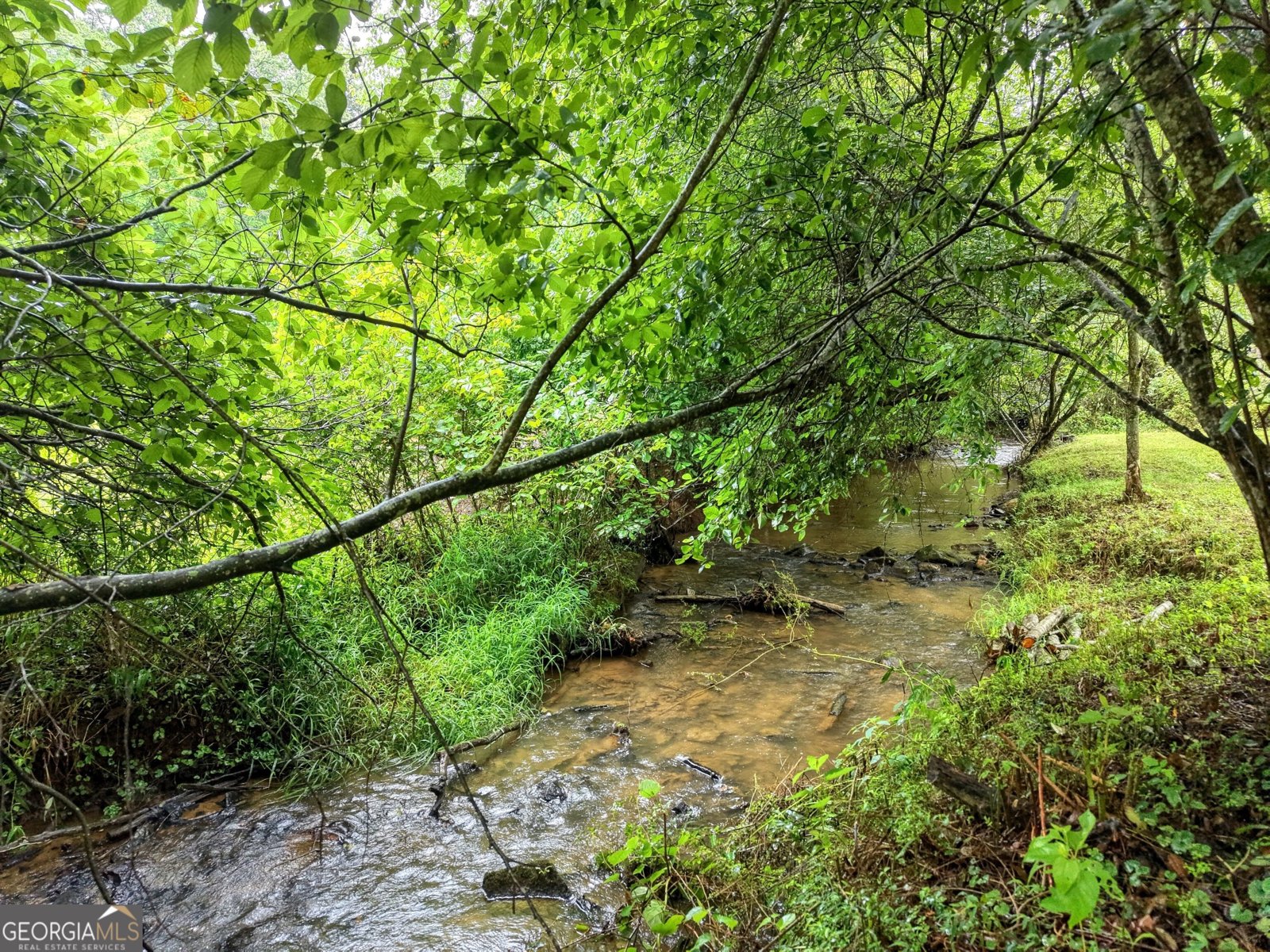 881 Aska Road Blue Ridge - Photo 41