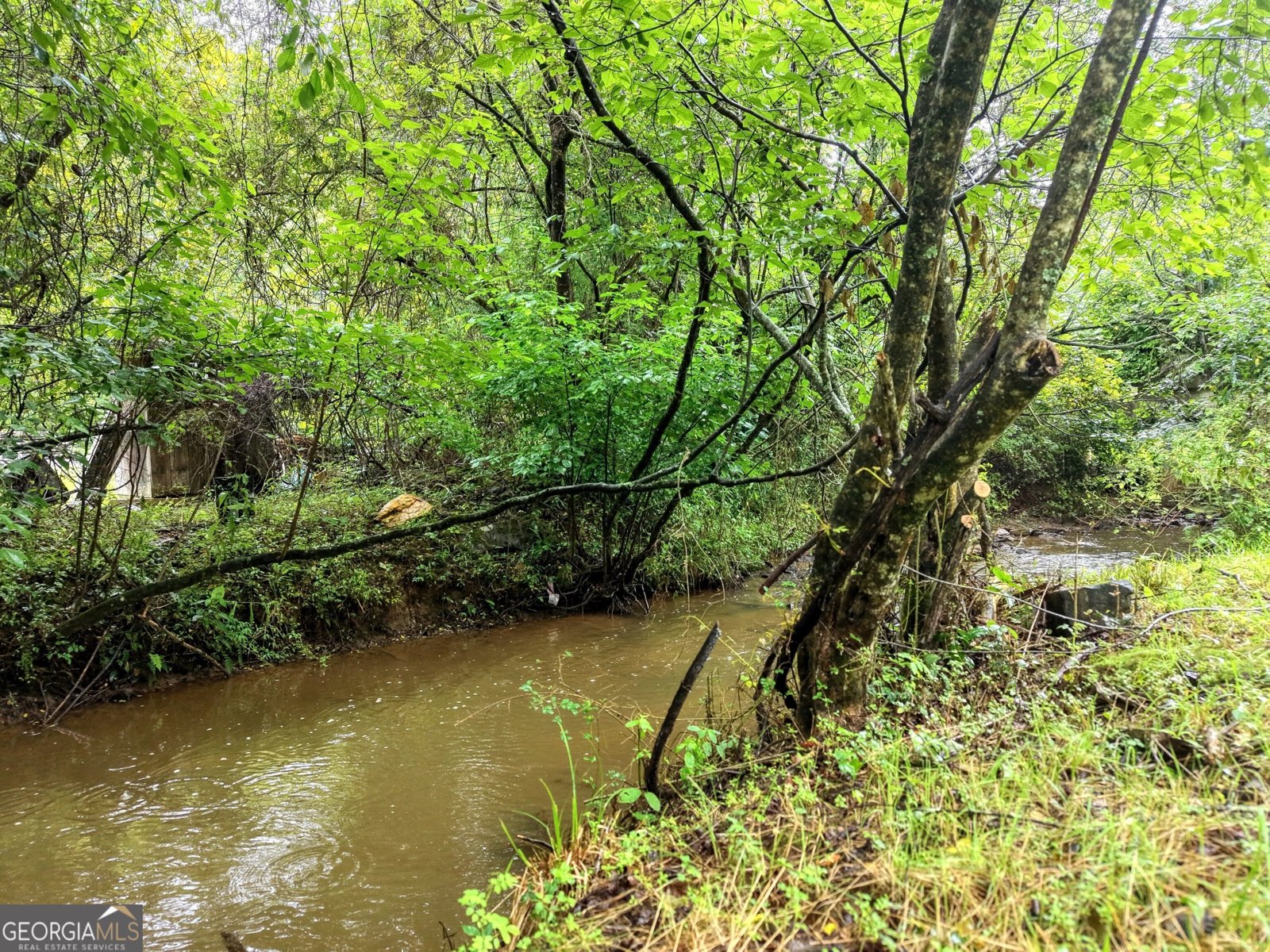 881 Aska Road Blue Ridge - Photo 43