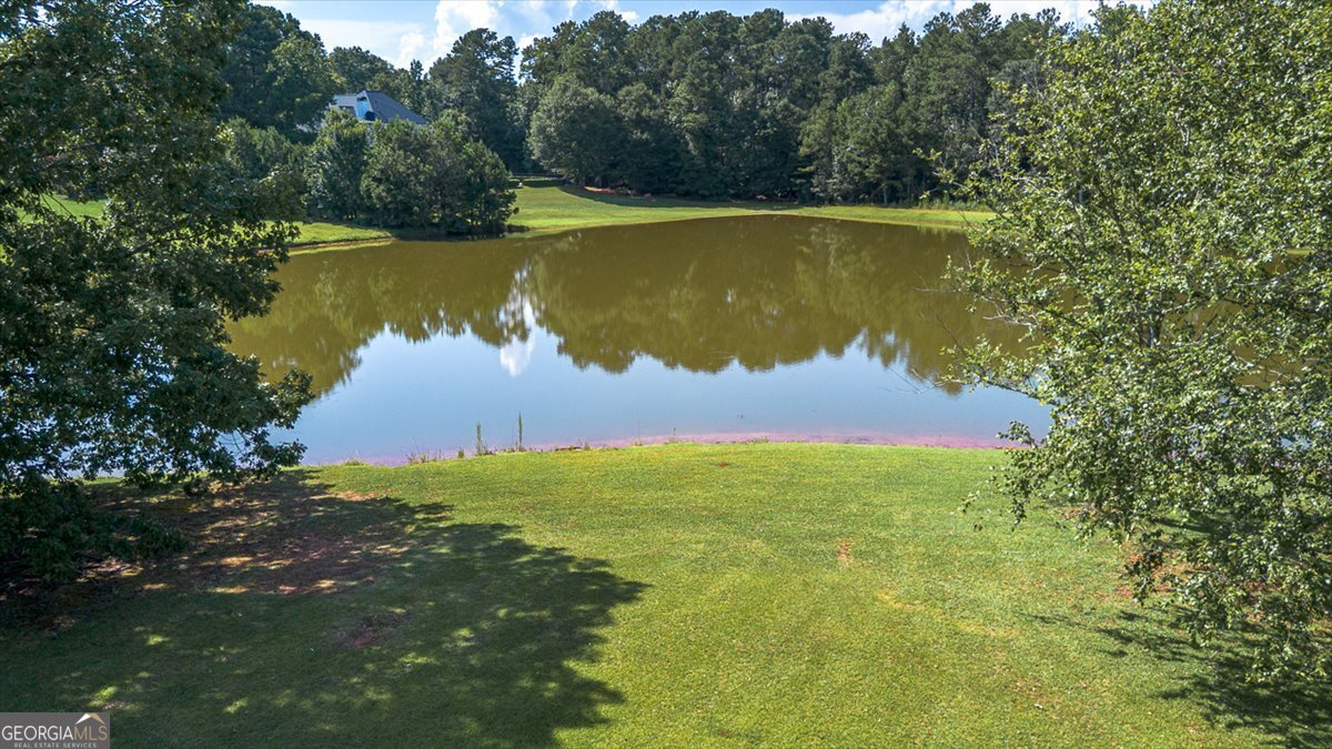 1220 Mallard Circle Bogart - Photo 39