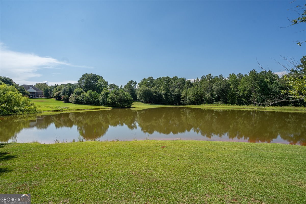 1220 Mallard Circle Bogart - Photo 40