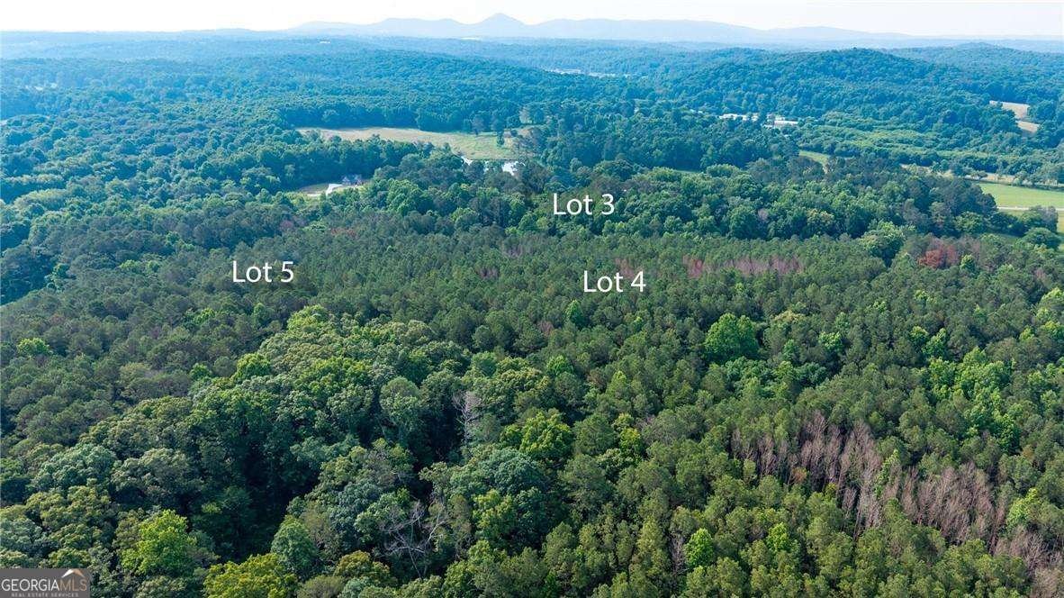 LOT 4 136 Highway 136 Connector Talking Rock - Photo 9