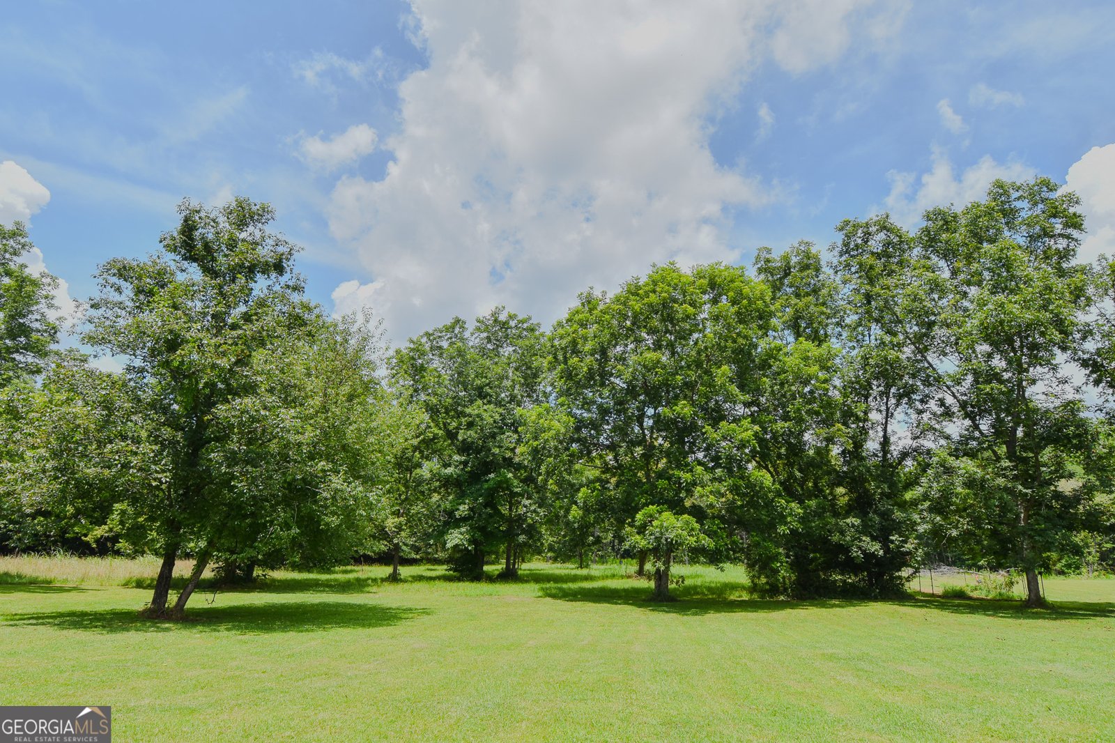 892 Thurston School Road Thomaston - Photo 9