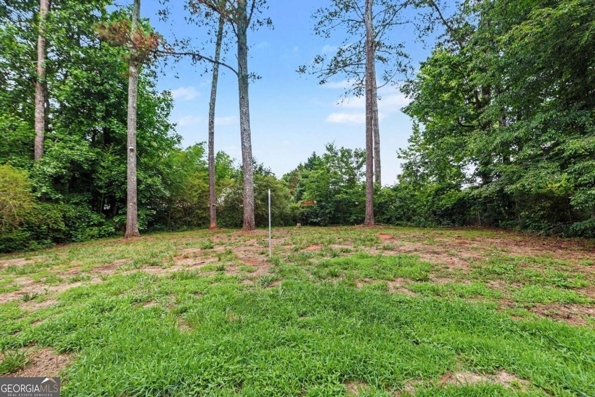 6742 Oakland Drive Douglasville - Photo 34