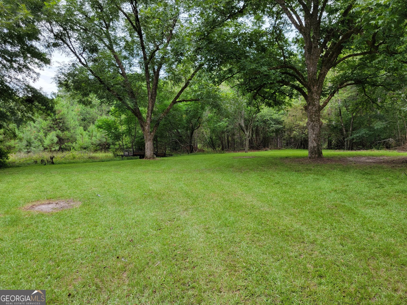 367 Mt Pleasant Church Rd Gordon - Photo 10