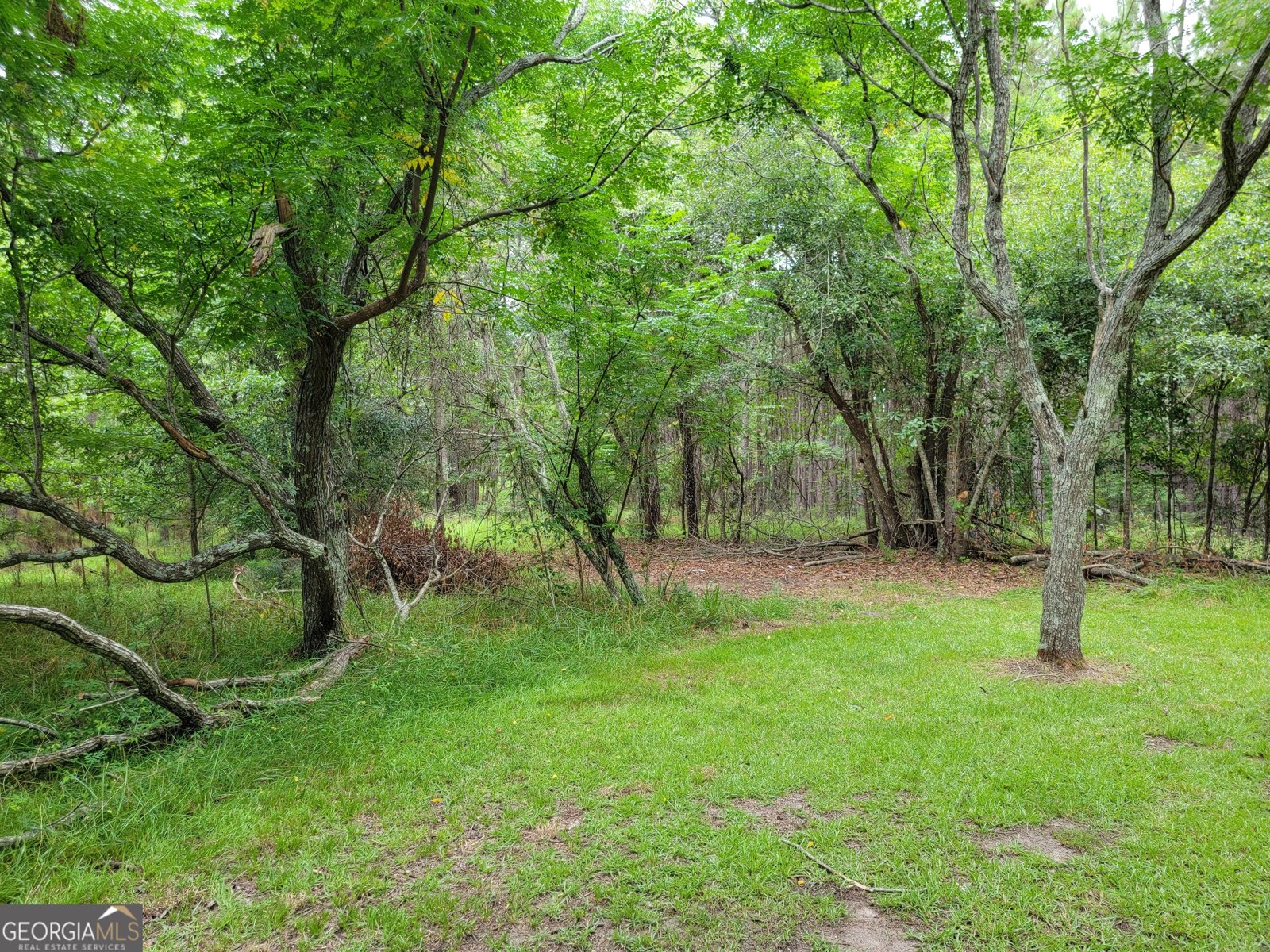 367 Mt Pleasant Church Rd Gordon - Photo 12