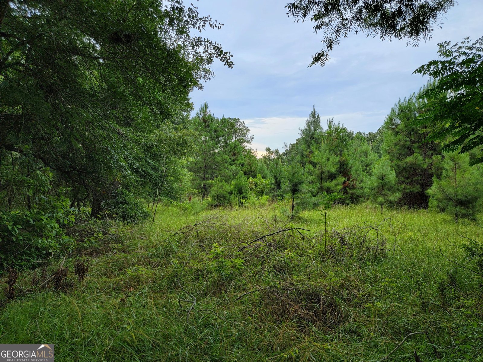 367 Mt Pleasant Church Rd Gordon - Photo 13