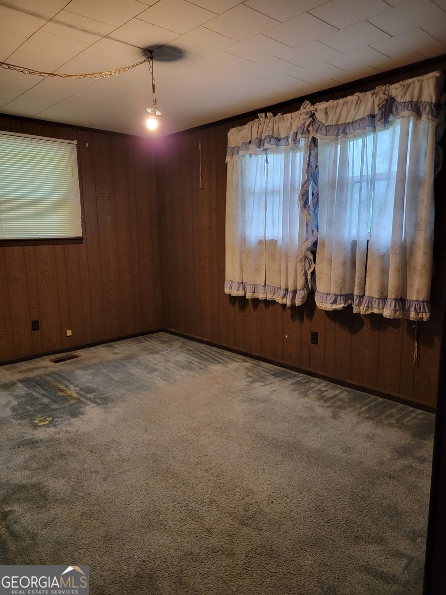 367 Mt Pleasant Church Rd Gordon - Photo 30