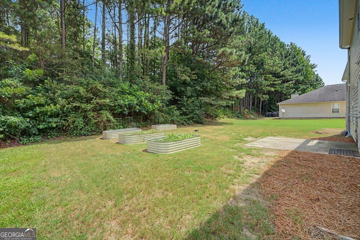 1012 Syncamore Lane Villa Rica - Photo 34