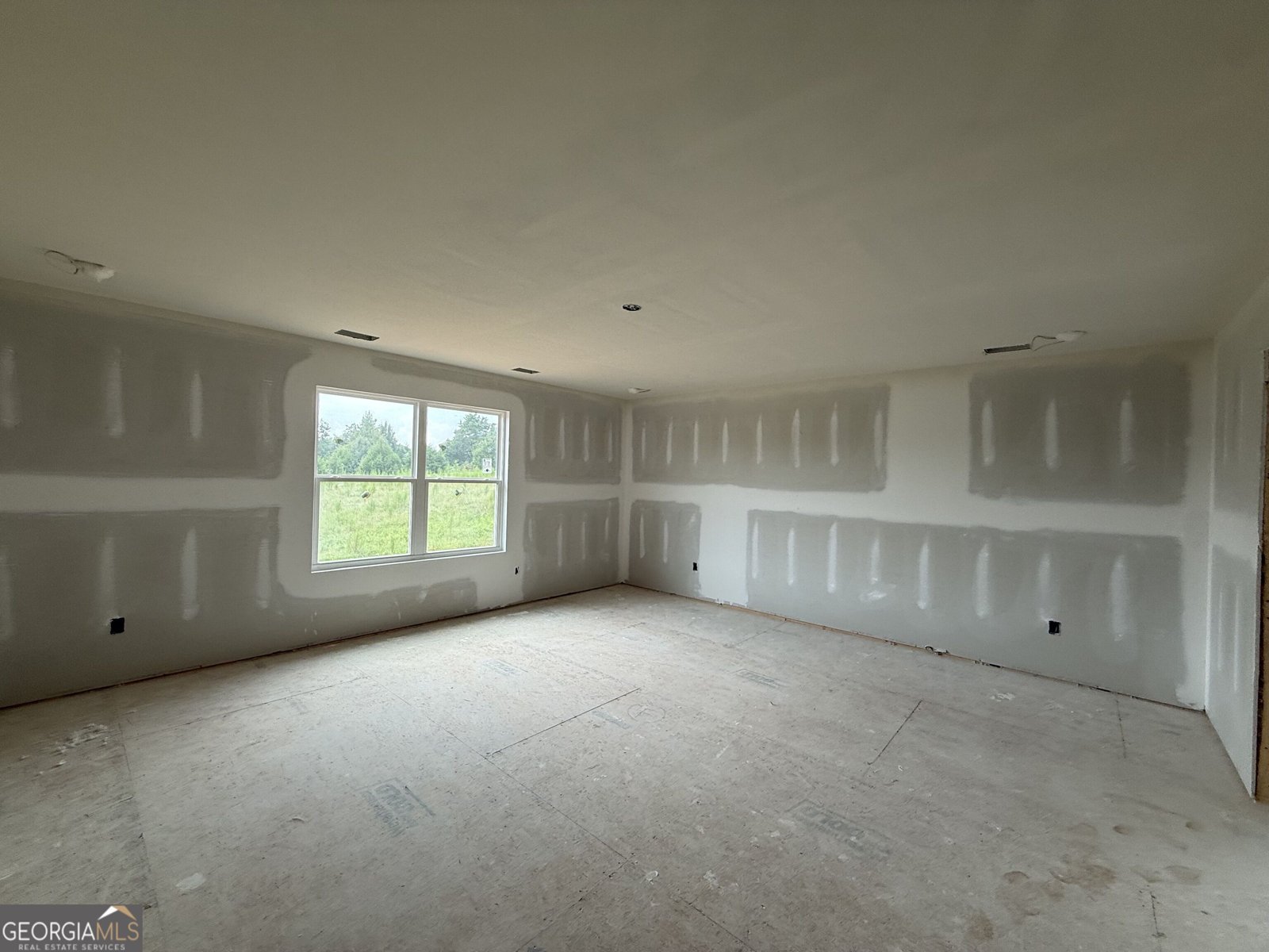 1004 South Laney Road Locust Grove - Photo 15