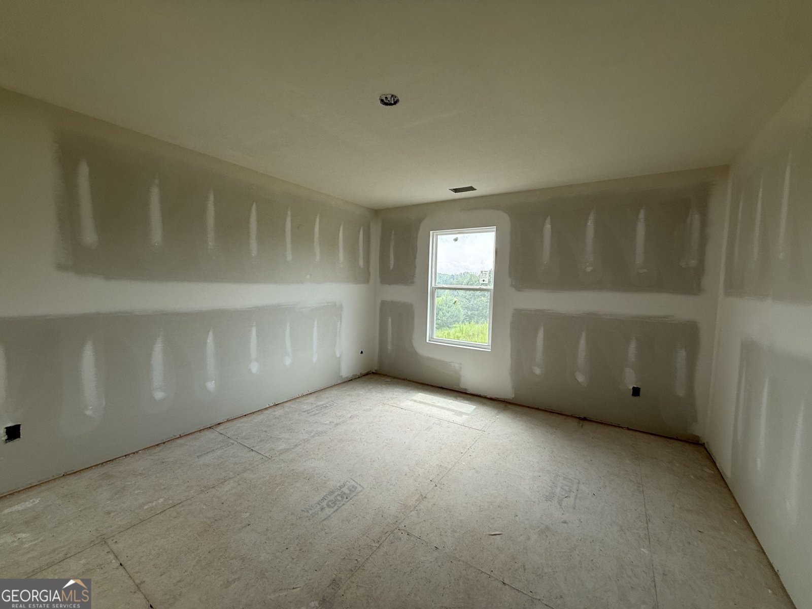 1004 South Laney Road Locust Grove - Photo 20