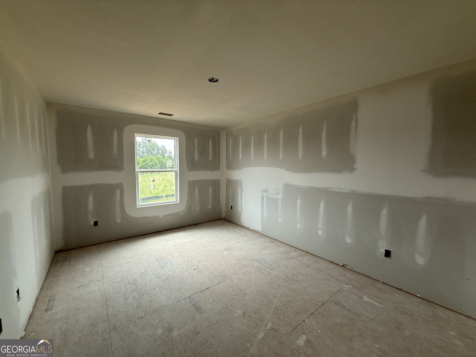 1004 South Laney Road Locust Grove - Photo 23