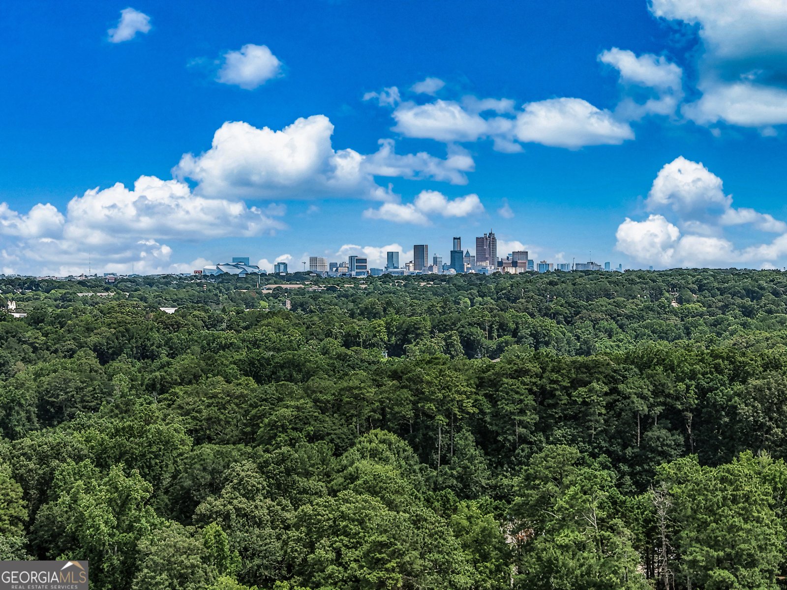 2462 Macon Drive Atlanta - Photo 43