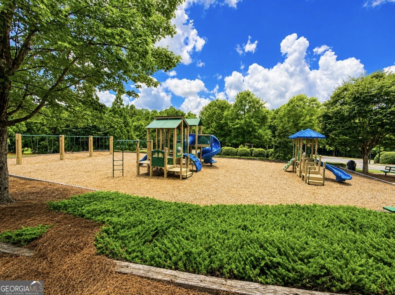 320 New point Lane Canton - Photo 45