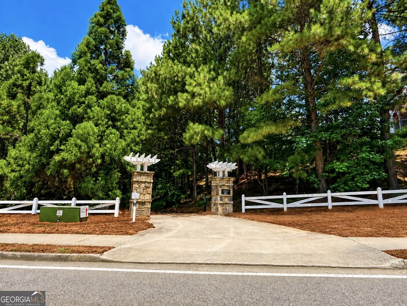 320 New point Lane Canton - Photo 46