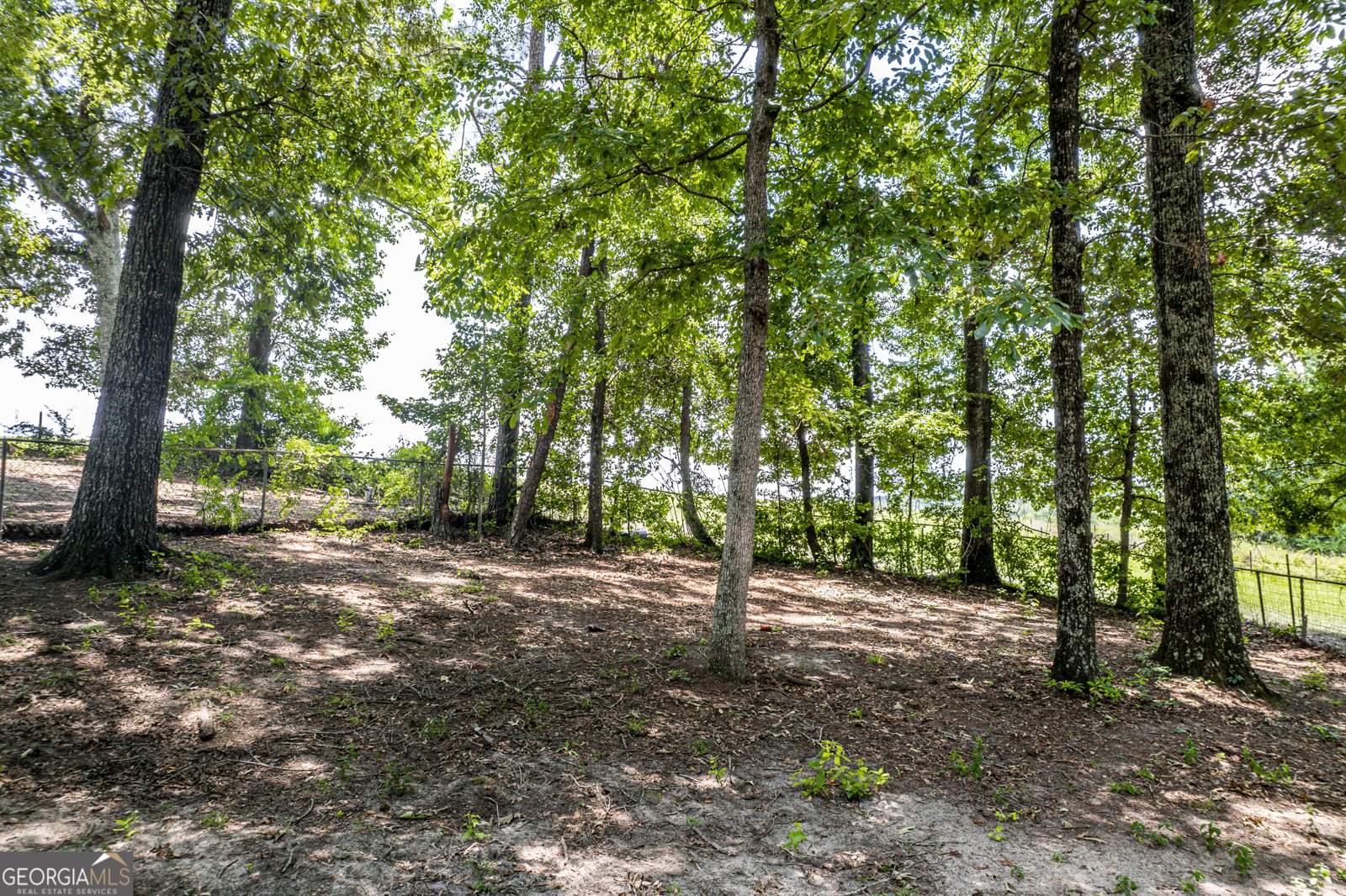 140 Bethlehem Church Road Gordon - Photo 41