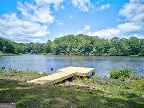 511 Lakeside Drive Hiram - Photo 45