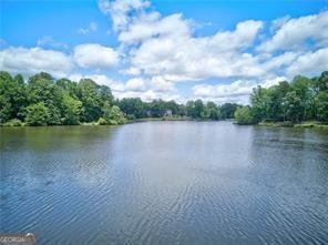 511 Lakeside Drive Hiram - Photo 47