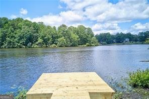 511 Lakeside Drive Hiram - Photo 50