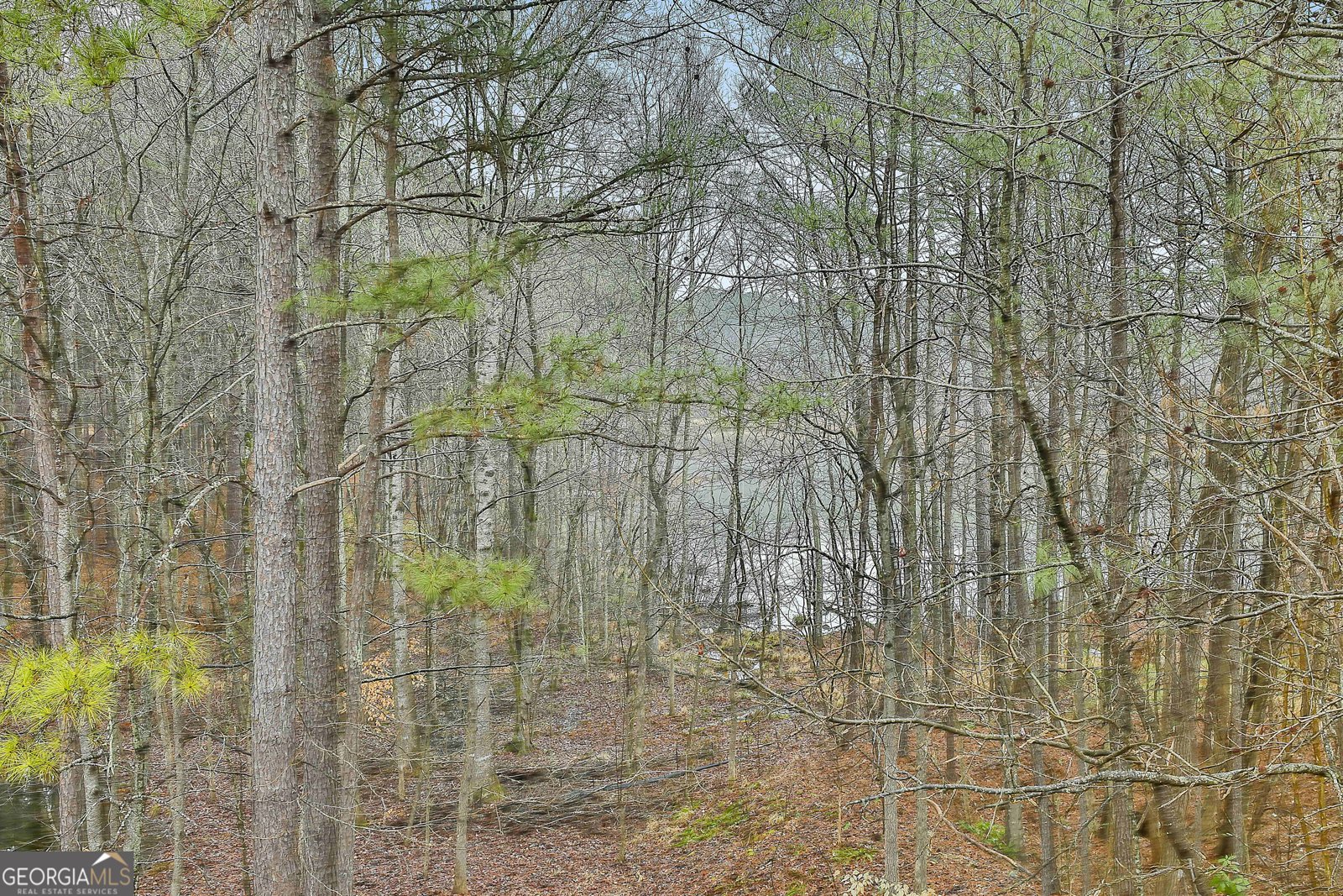 120 Meadow View Glen Newnan - Photo 45