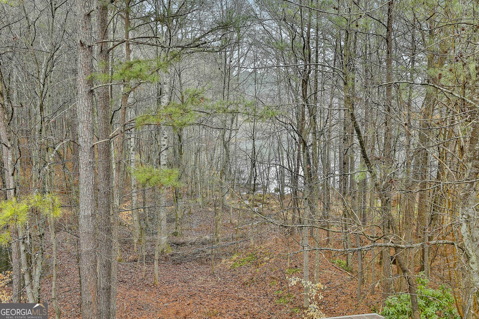 120 Meadow View Glen Newnan - Photo 46