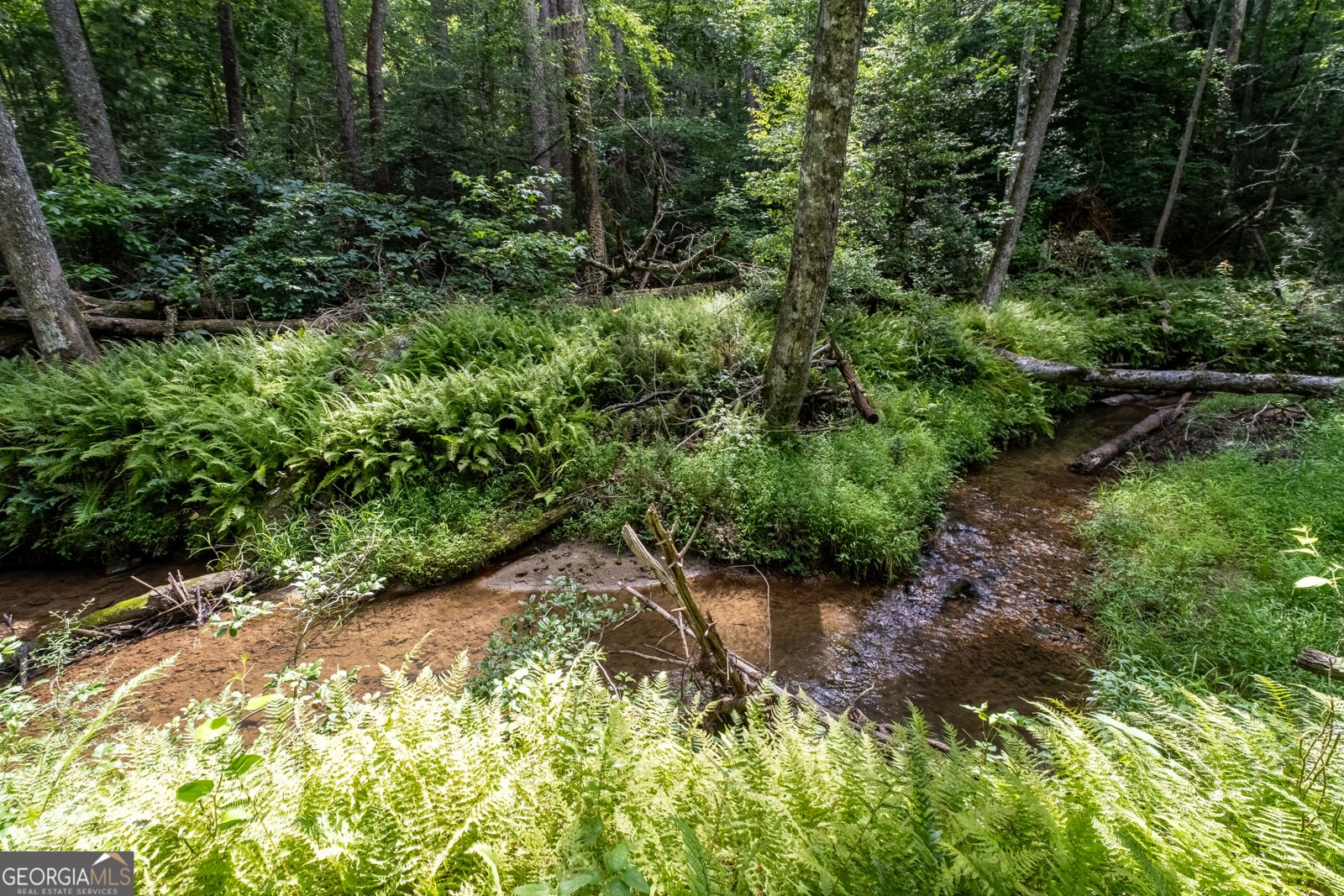 215 Dunn Mill Creek Road Blue Ridge - Photo 50