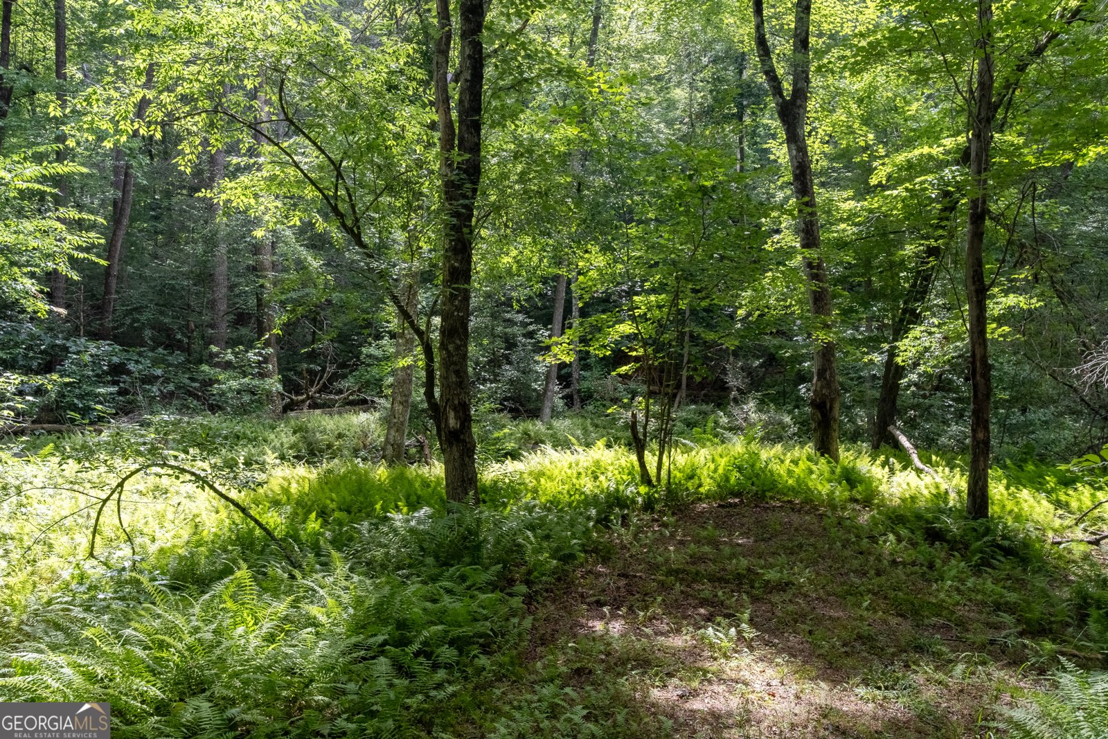 215 Dunn Mill Creek Road Blue Ridge - Photo 52